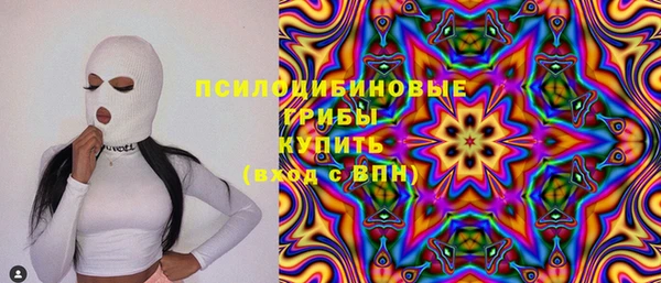 spice Алексин